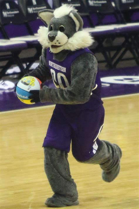Willie the Wildbat: More Than Just a Mascot